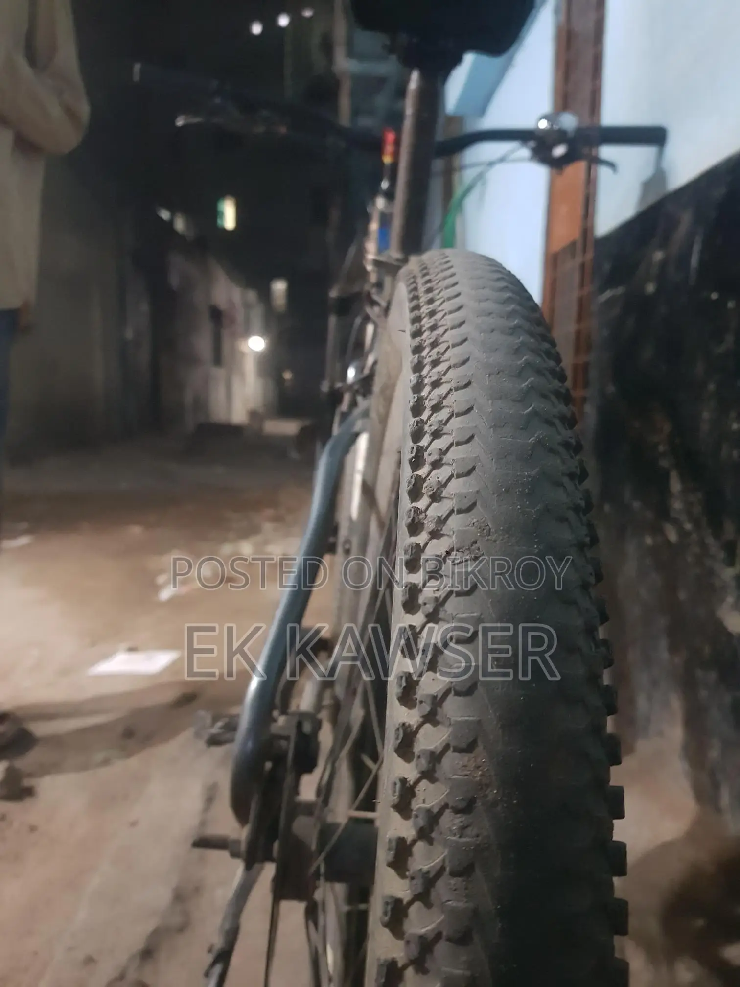 Phoenix Bicycle for Sale