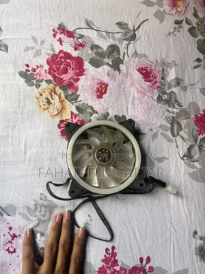 Full Fresh Condition