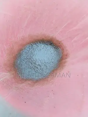Fish Food Dafniya