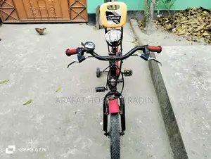 Duranta Bicycle for Sale