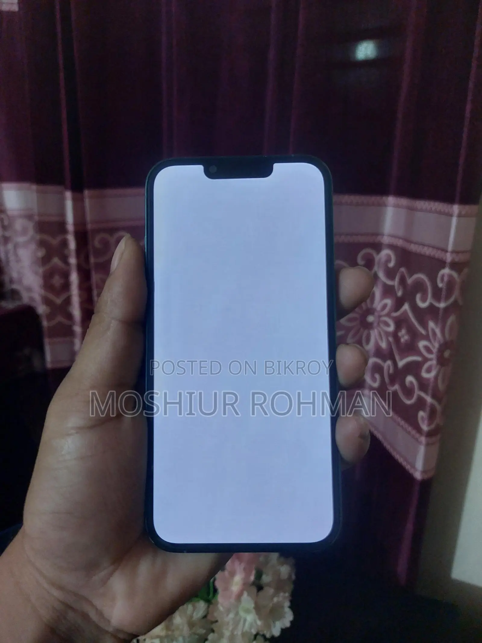 Apple iPhone 13 Pro Display Dead (Used)