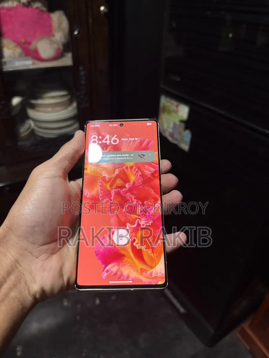 Google Pixel 6 Pro (Used)