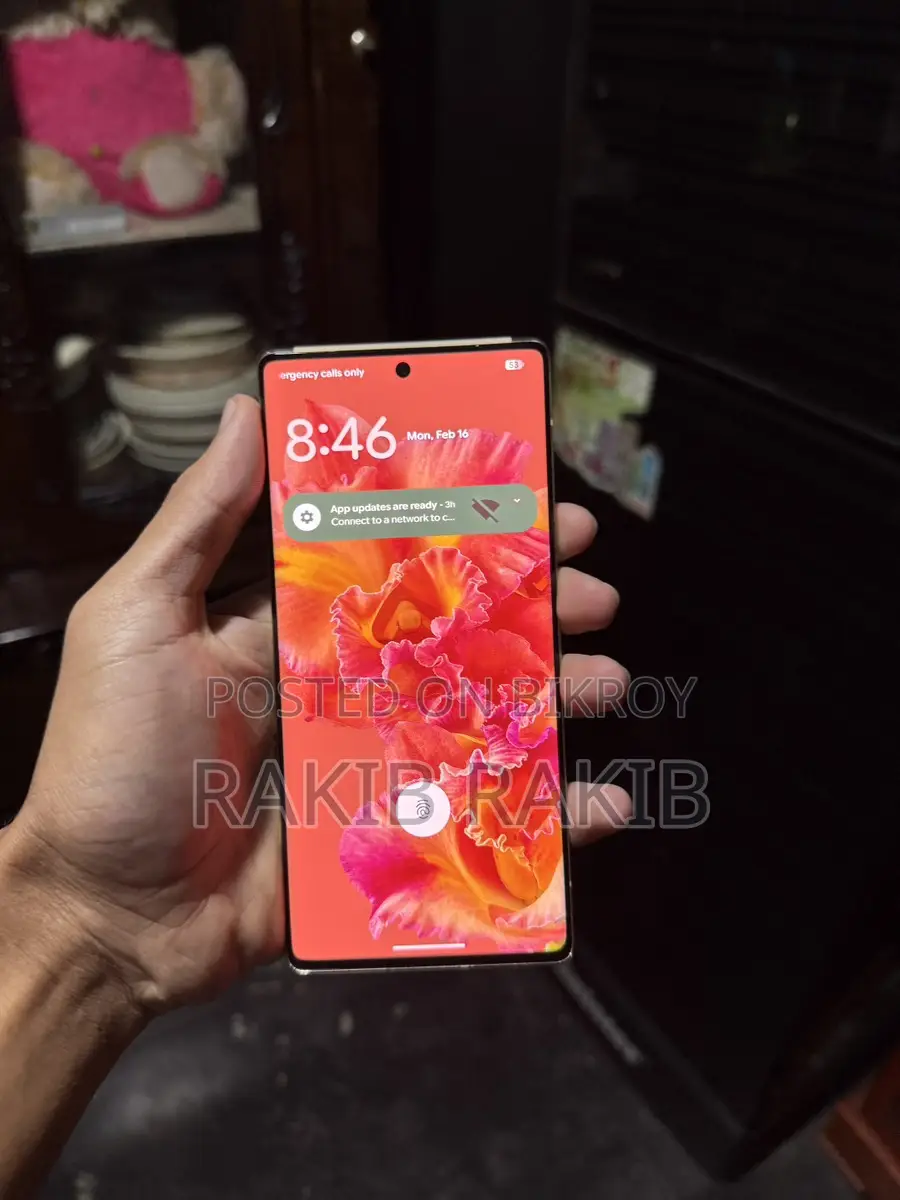 Google Pixel 6 Pro (Used)