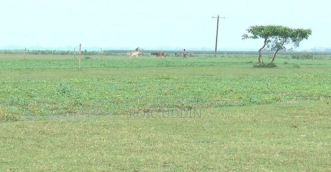 Agricultural Land for Sale