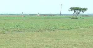 কৃষি জমি বিক্রয়