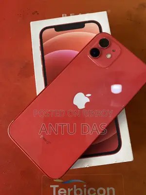 Apple iPhone 12 (Used)
