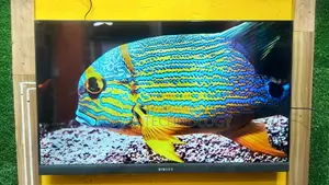 Singer 50-inch 4K Frameless TV