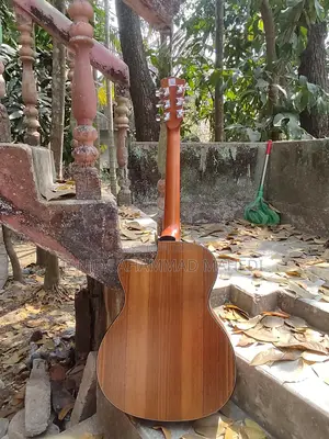 ডিভাইসর গিটার বিক্রির জন্য