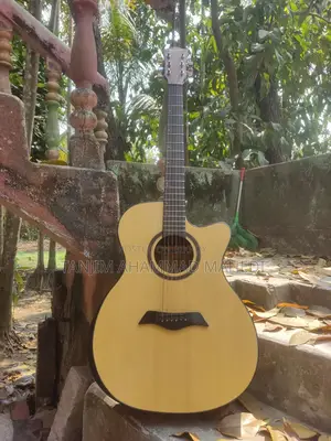 ডিভাইসর গিটার বিক্রির জন্য