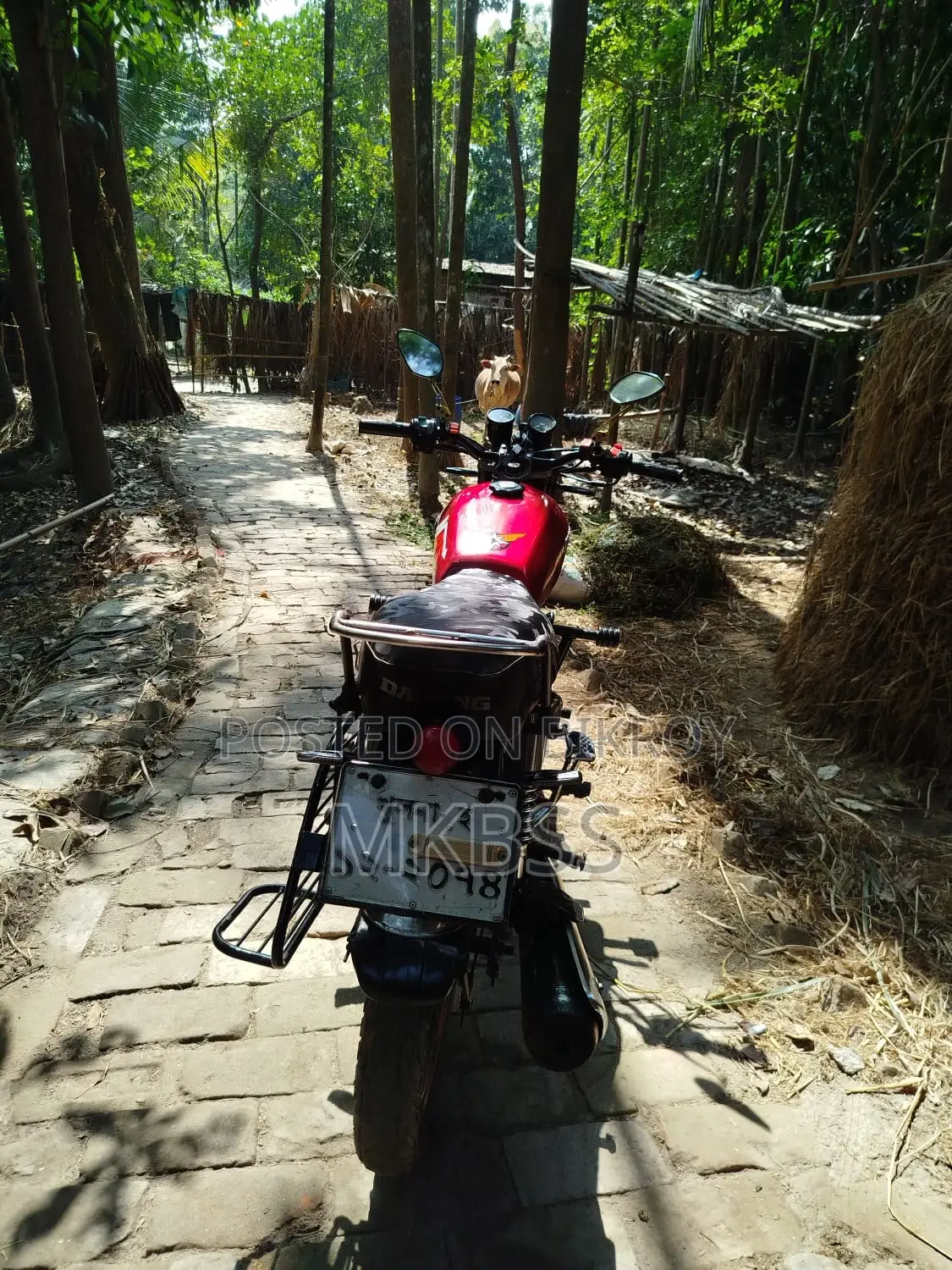 Freedom Runner Trover . 2016