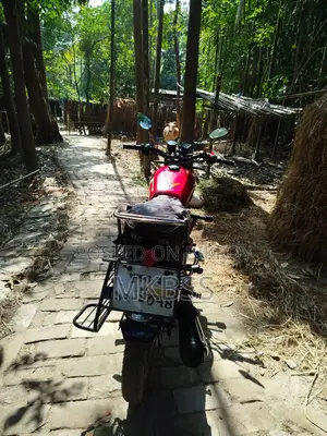 Freedom Runner Trover . 2016