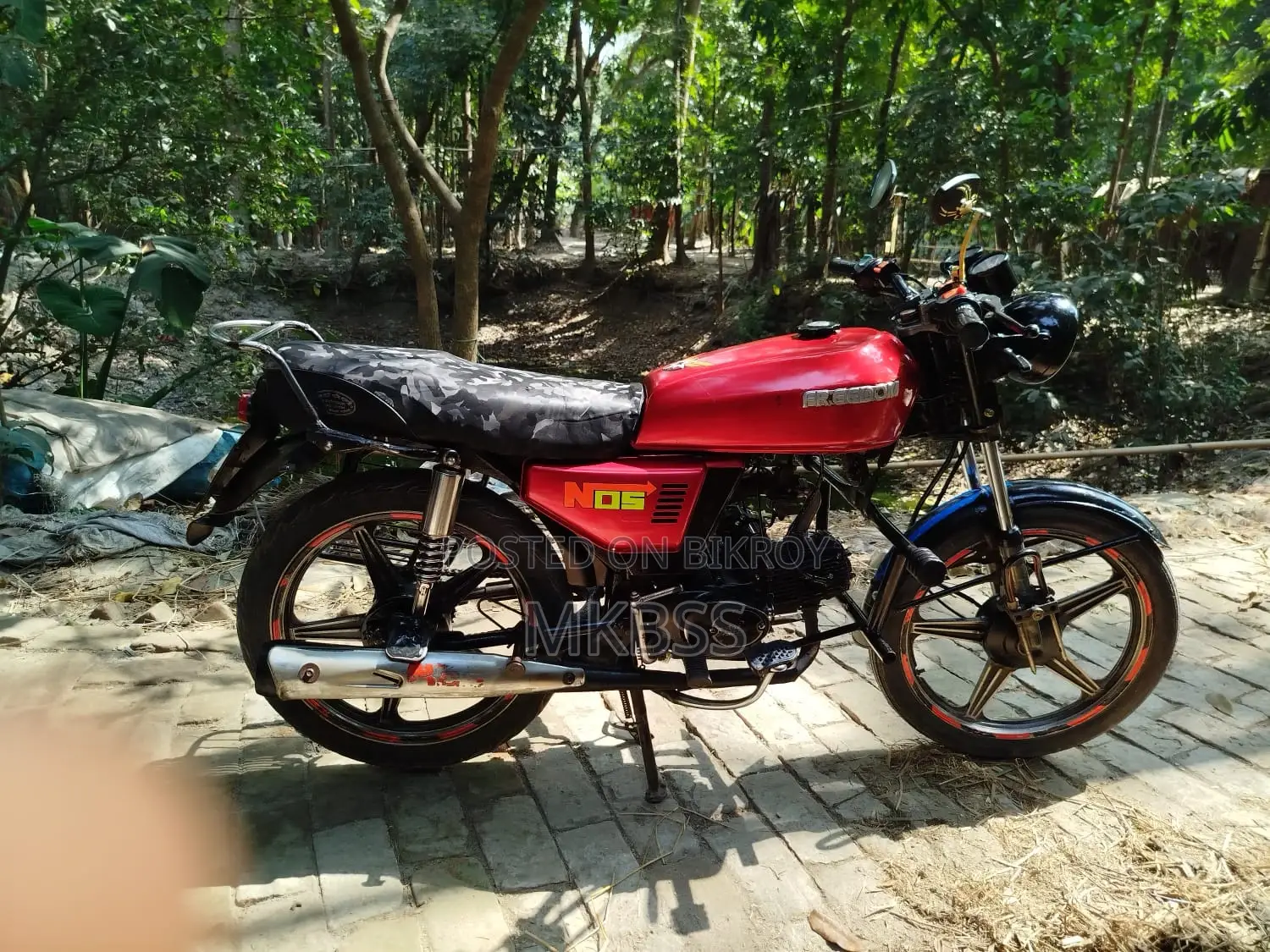 Freedom Runner Trover . 2016