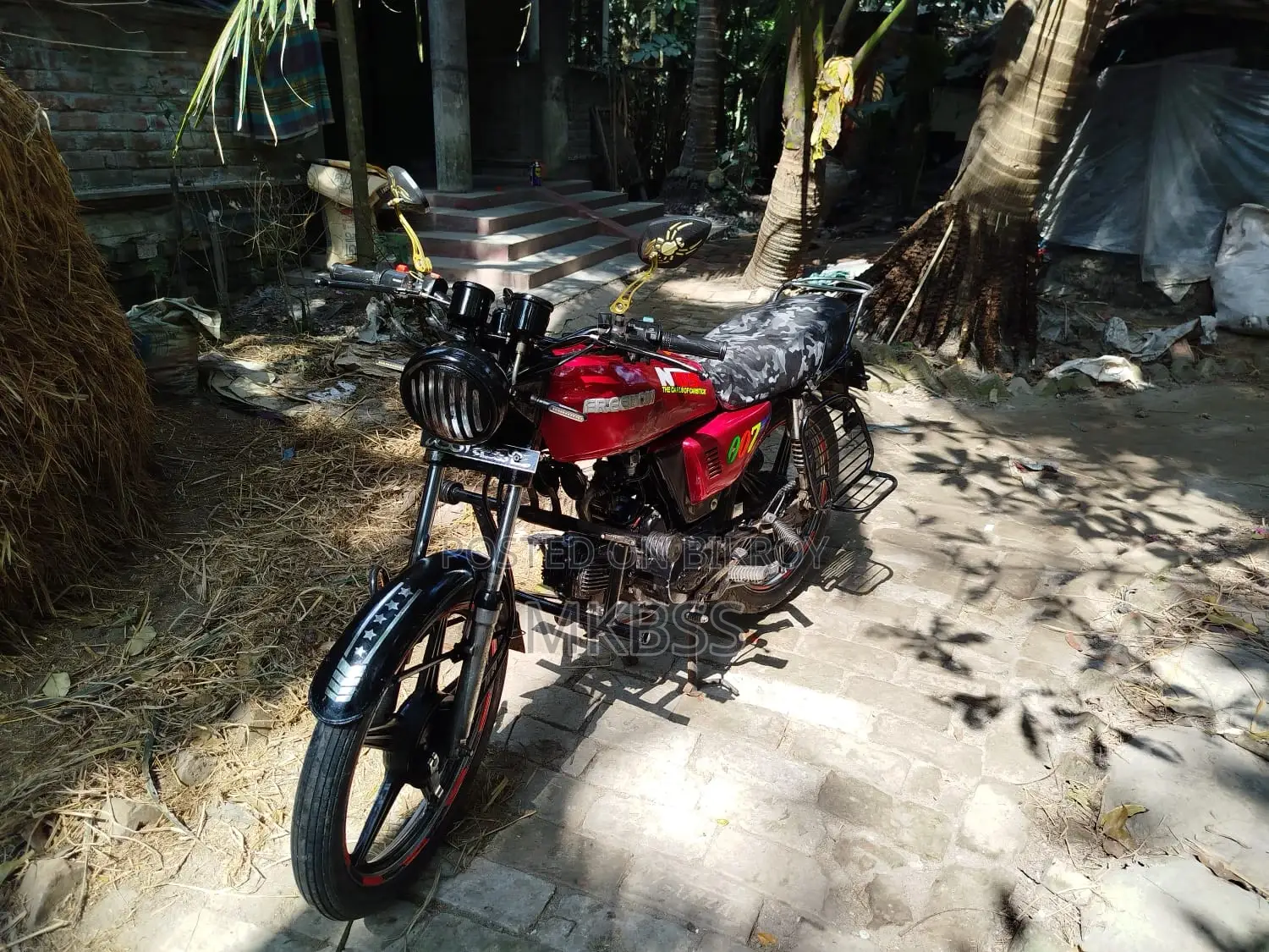 Freedom Runner Trover . 2016
