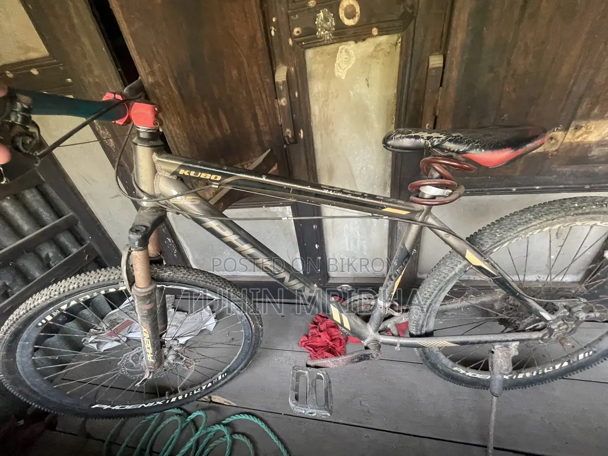 Phoenix Bicycle for Sale
