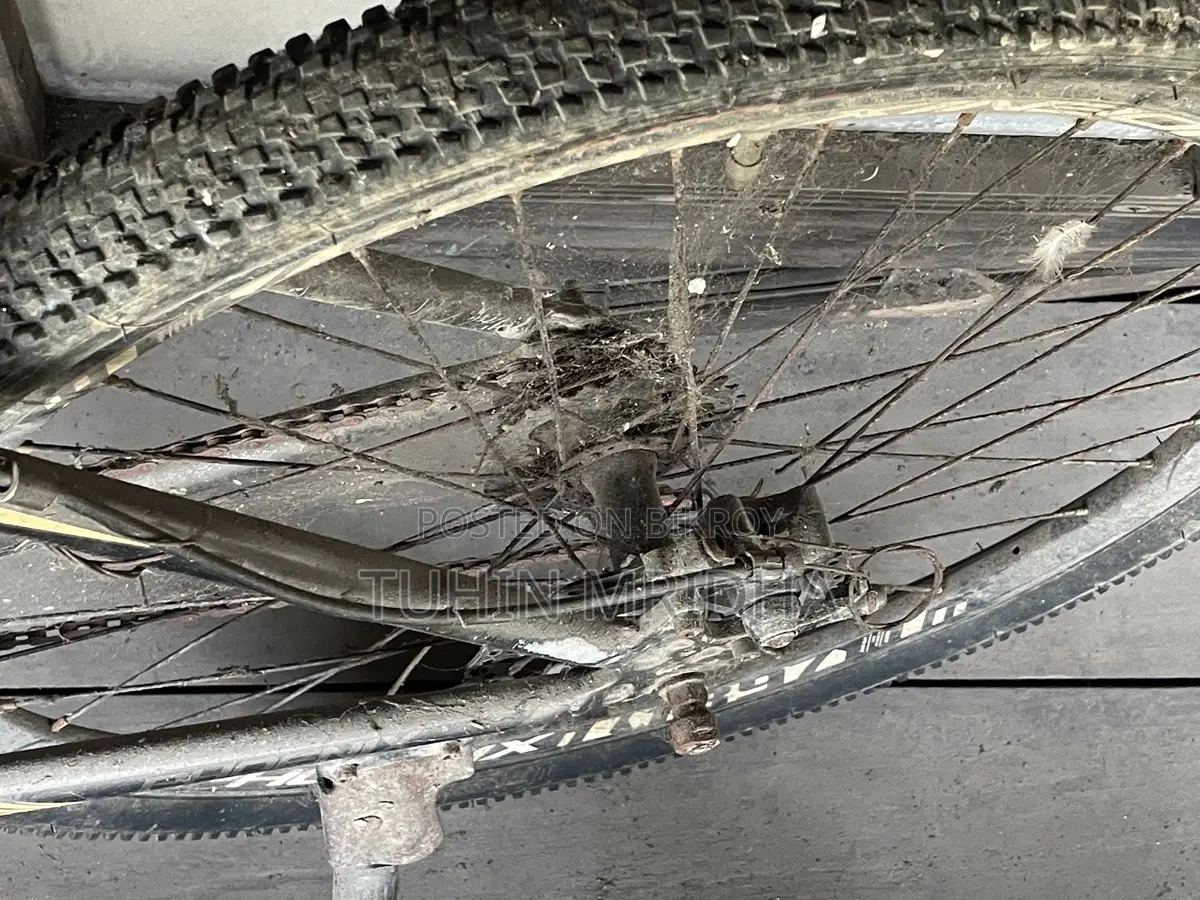 Phoenix Bicycle for Sale