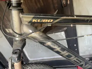 Phoenix Bicycle for Sale
