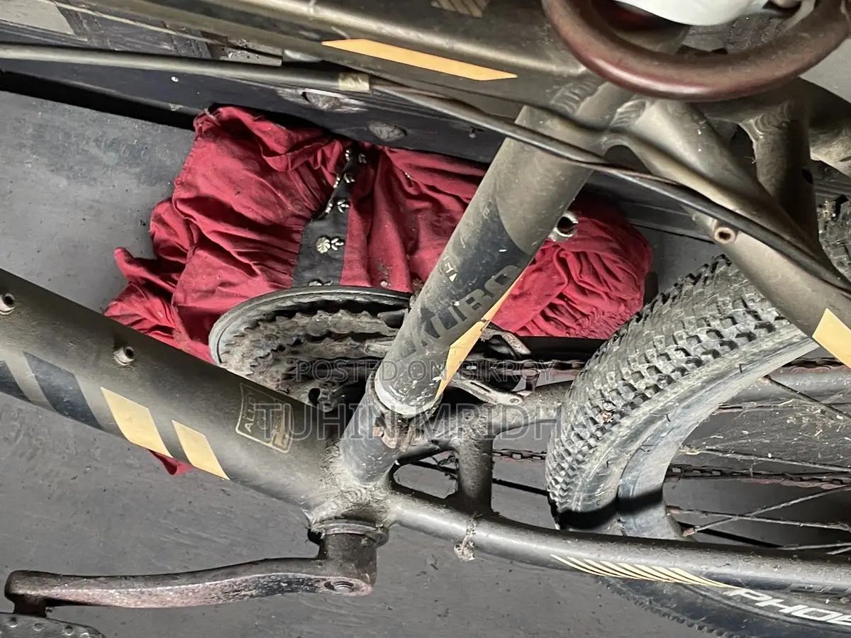 Phoenix Bicycle for Sale