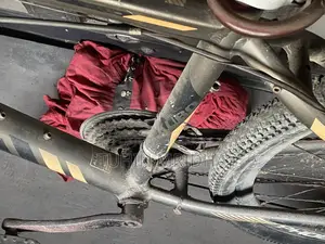 Phoenix Bicycle for Sale