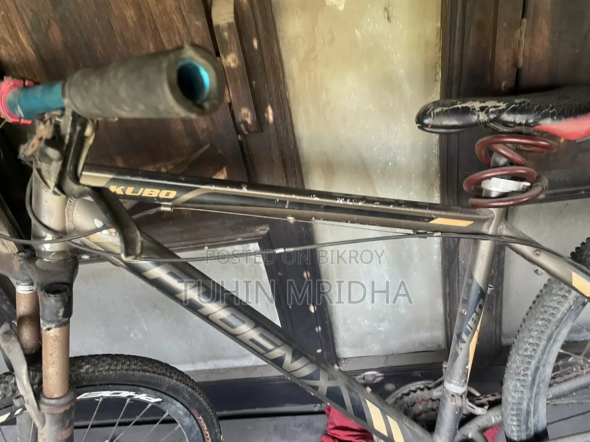 Phoenix Bicycle for Sale
