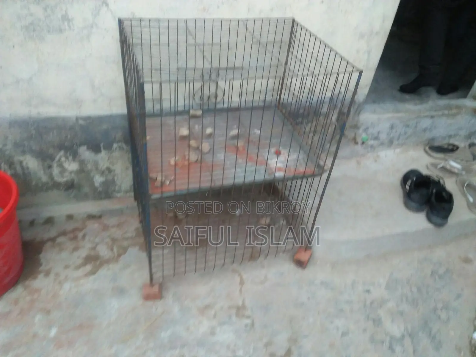 2-Compartment Pigeon Cage