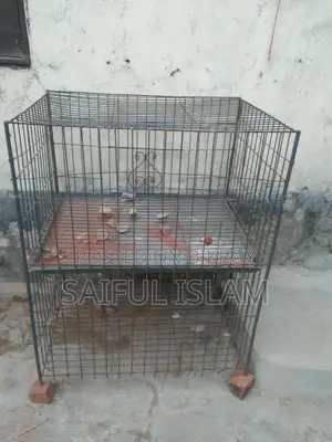 2-Compartment Pigeon Cage