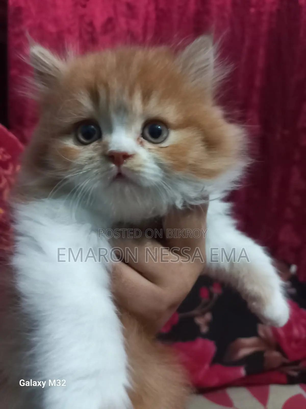 Traditional Persian
