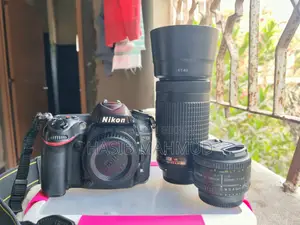 Nikon D7100 with 70-300afp vr and 50mm 1.8d