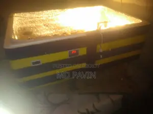 ডিম থেকে বাচ্চা ফুটানোর মেশিন। ইনকিউবেটর