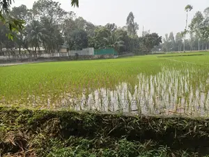 Land for Sale in Plot Format