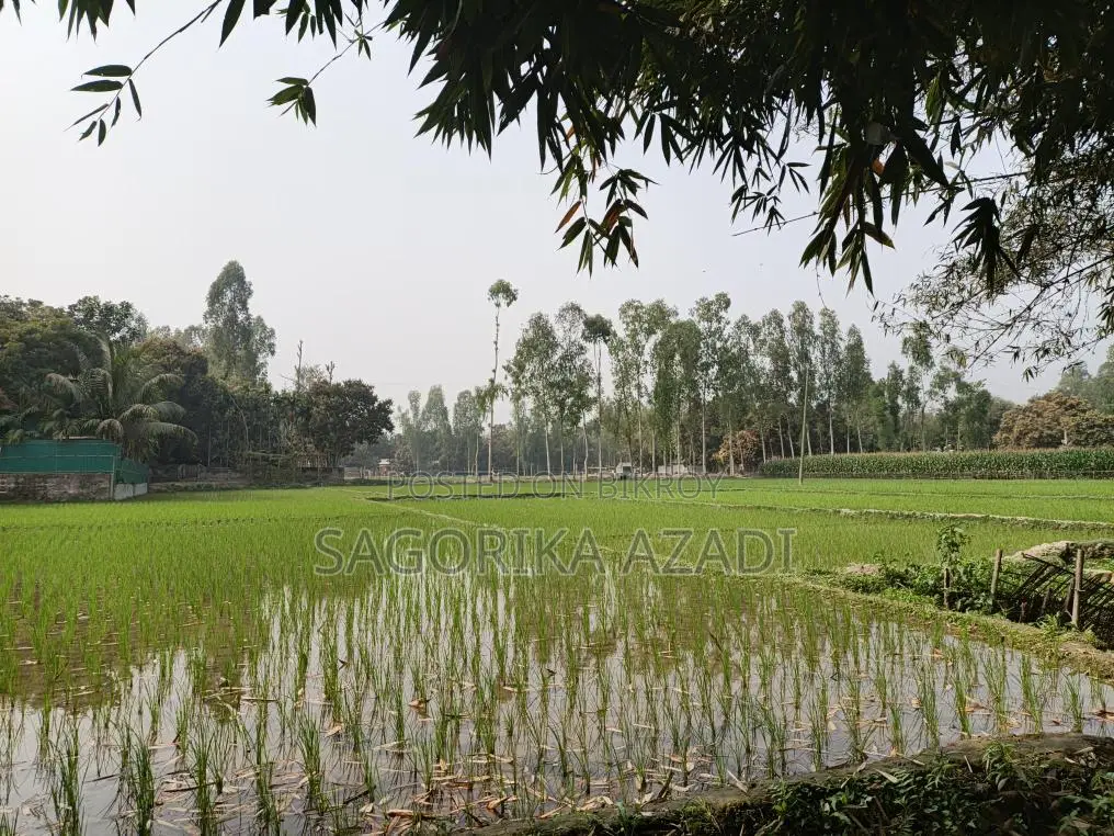 Land for Sale in Plot Format