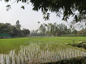 Land for Sale in Plot Format
