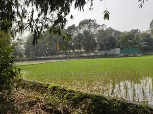 Land for Sale in Plot Format