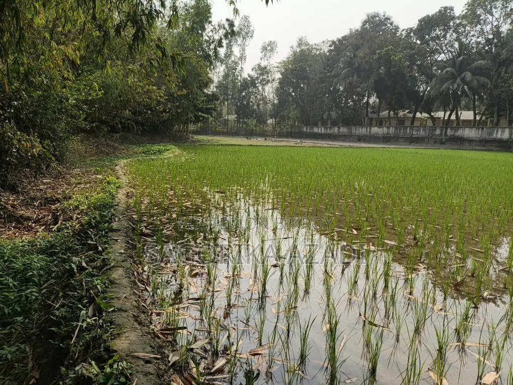 Land for Sale in Plot Format