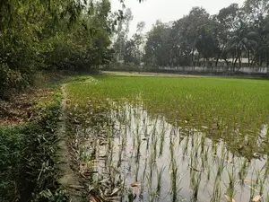 Land for Sale in Plot Format