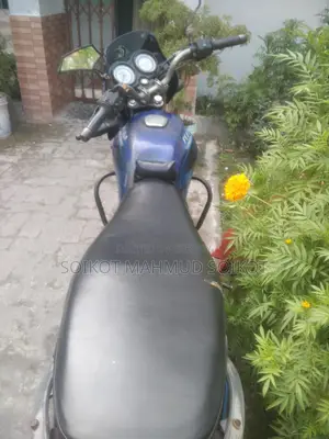 Bajaj Platina 110 2010