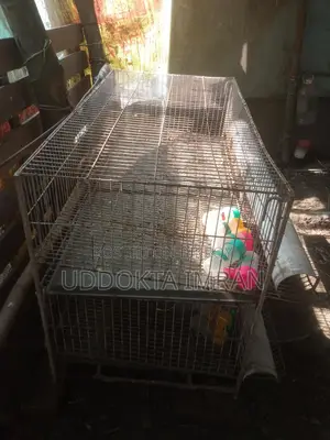 ১০০ কোয়েল পাখির জি আই খাচা ২ তলা ৪ ফিট