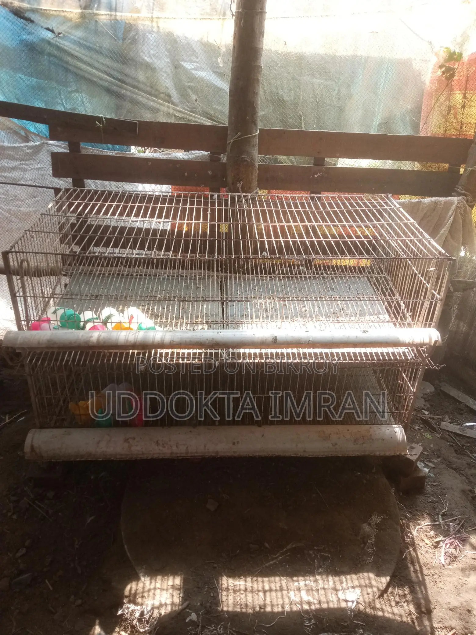 2-Tier 4ft GI Cage for 100 Quail Birds