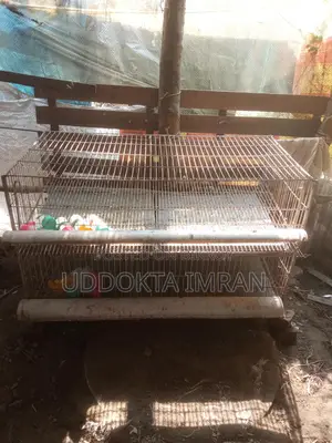 2-Tier 4ft GI Cage for 100 Quail Birds