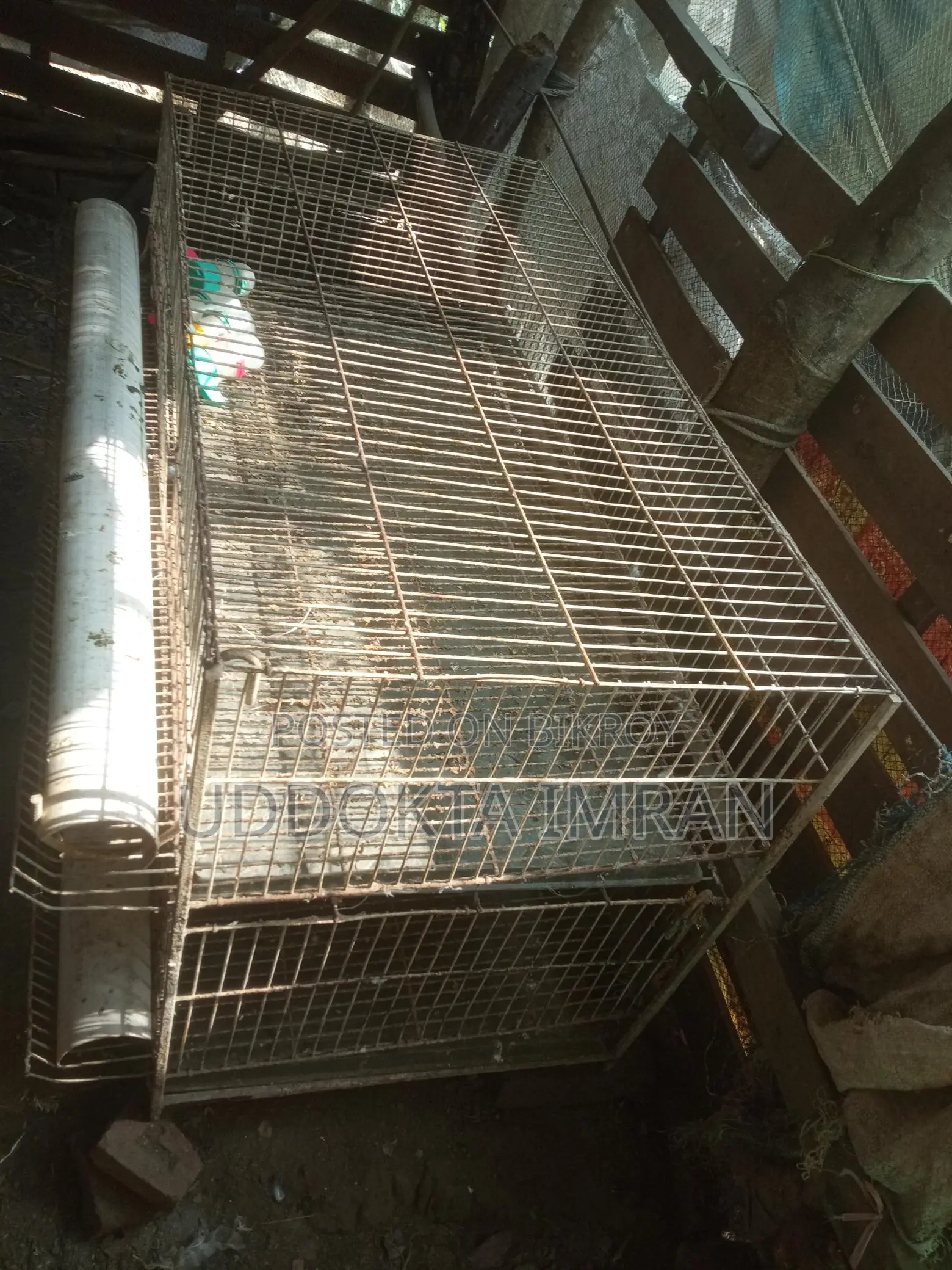 2-Tier 4ft GI Cage for 100 Quail Birds