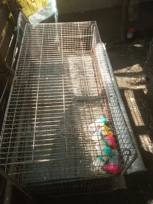 2-Tier 4ft GI Cage for 100 Quail Birds