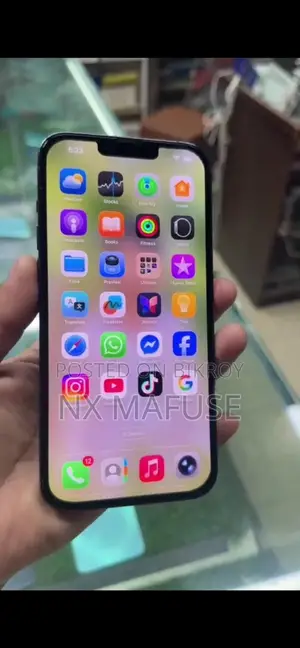 Apple iPhone 13 Pro Max (Used)
