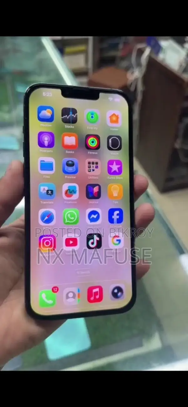 Apple iPhone 13 Pro Max (Used)