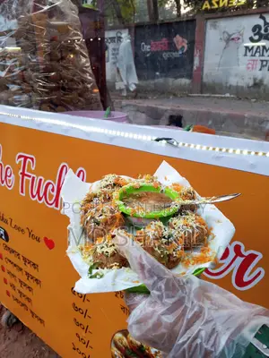 Food Cart for Sale with All Equipment