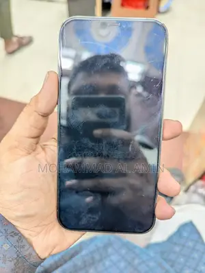 Apple iPhone 12 Pro Max (Used)