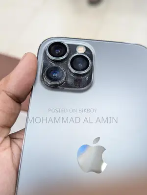 Apple iPhone 12 Pro Max (Used)