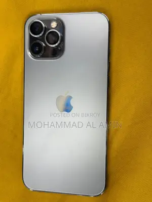 Apple iPhone 12 Pro Max (Used)