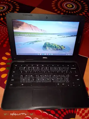 Dell Chromebook All Ok