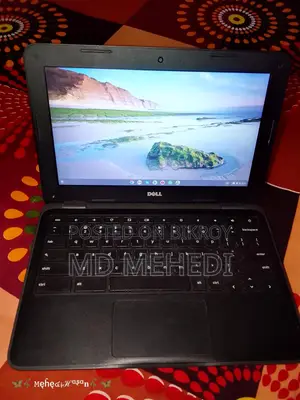 Dell Chromebook All Ok