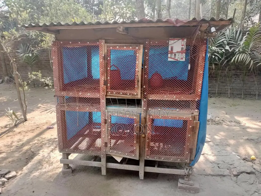 মুরগির খাঁচা