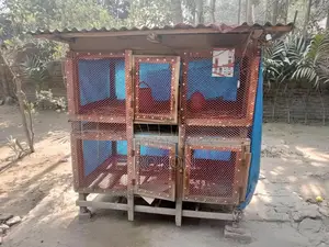 মুরগির খাঁচা
